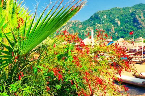 Festői Jellege Törökország Földközi Tenger Partján Ichmeler Strand Mugla Tartományban — Stock Fotó