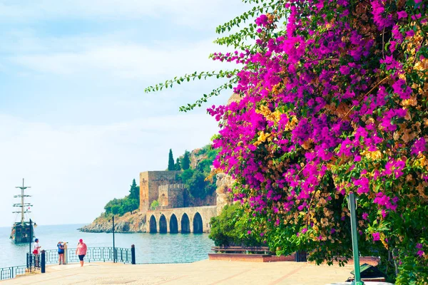 Alanya Turquia Agosto 2014 Pessoas Vêem Bela Arquitetura Tersane Antigo — Fotografia de Stock