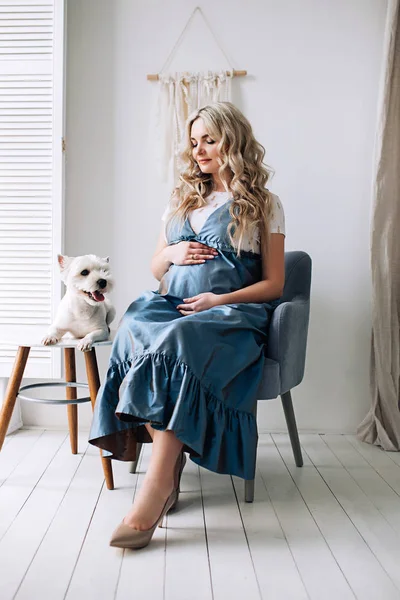 Pregnant european woman with her dog in white apartment, european woman waiting for a child, prenant woman with light hair in long blue dress in white apartment, beautiful pretty future mother with