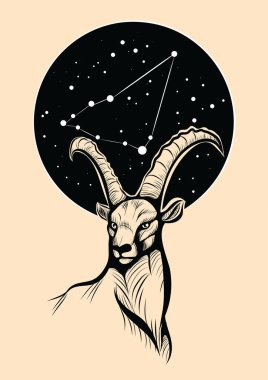 Capricornus takımyıldızının vektör çizimi