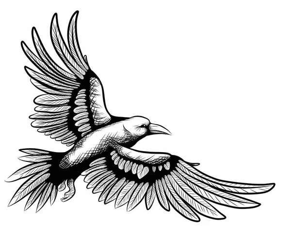 Illustration Vectorielle Corbeau — Image vectorielle