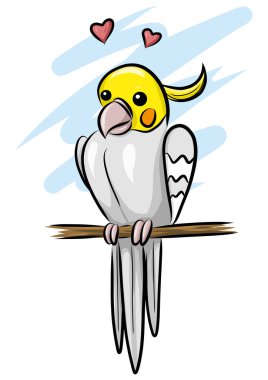 izole şirin Cockatiel çizimi