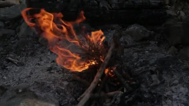 Člověk klade hole na oheň v večer v exteriéru. — Stock video