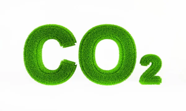 Renderizado Icono Co2 Con Una Textura Hierba Verde — Foto de Stock