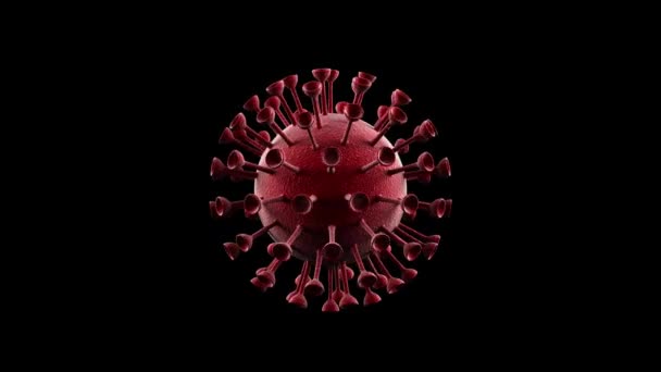 Coronavirus Covid 2019 Ncov Animación Coronavirus Covid 2019 Ncov Novedoso — Vídeo de stock