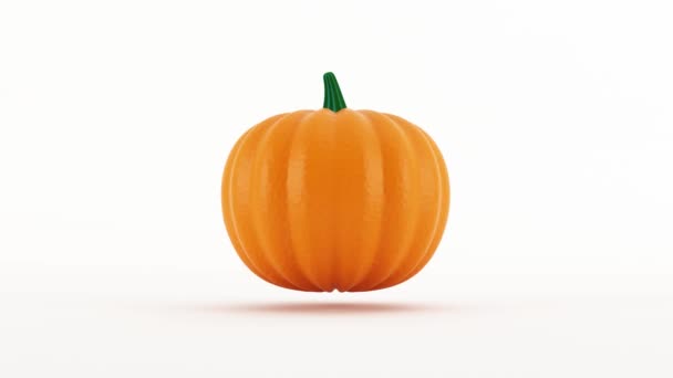 Halloween Citrouilles Sculptées Concept Halloween Décoration Vacances Animation Une Citrouille — Video