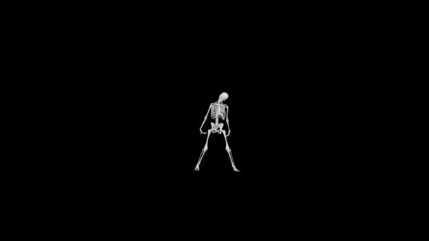 Skeleton Dancing Animace Kostry Tance Halloween Koncept — Stock video