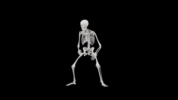 Skeleton Alert Idle Position Stance Seamless Animation Skeleton Idle Stance — Stock Video