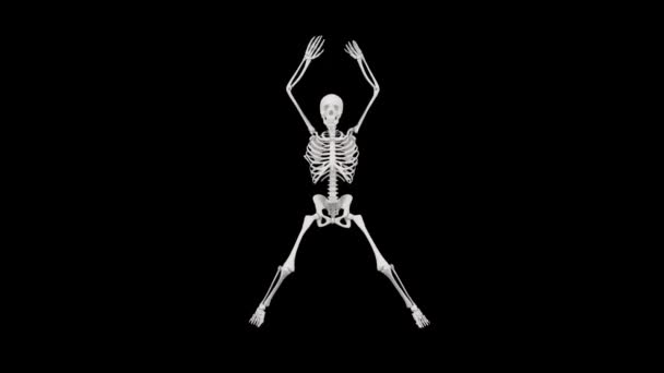 Анімація Скелетних Стрибків Безшовна Анімація Скелета Який Робить Стрибки Ґудзиках — стокове відео