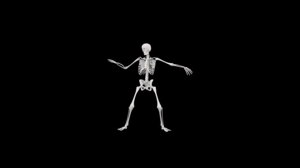 Danse Squelette Animation Sans Couture Une Danse Squelette Concept Halloween — Video