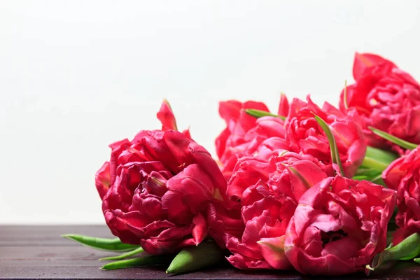 Kırmızı ve Pembe Lale beyaz arka plan üzerinde bahar. Geniş panoramik çiçek sınır