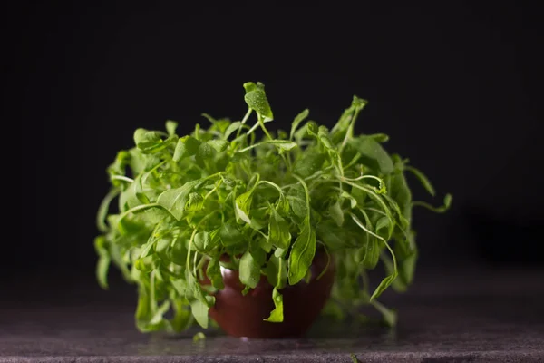 Arugula daun, rucola dalam piring batu gelap pada latar belakang gelap. — Stok Foto