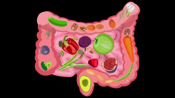Alimentos saudáveis para a saúde intestinal. Vídeo sobre um fundo preto — Vídeo de Stock