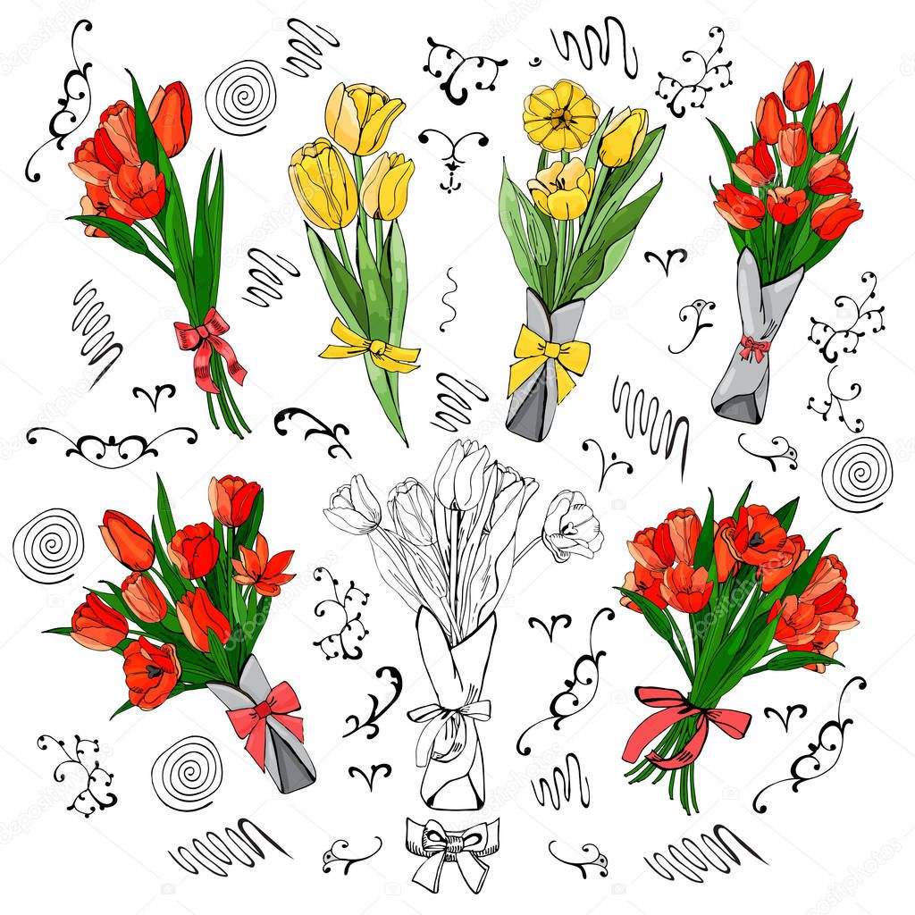 Set of red and yellow tulips bouquets. Hand drawn colored  sketch with tulip flowers and  leaves isolated on white background.Vector illustration.