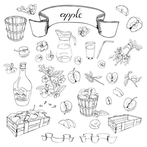 Sammlung von Äpfeln, Blumen und anderen handgezeichneten Objekten. Monochrome Komposition. — Stockvektor
