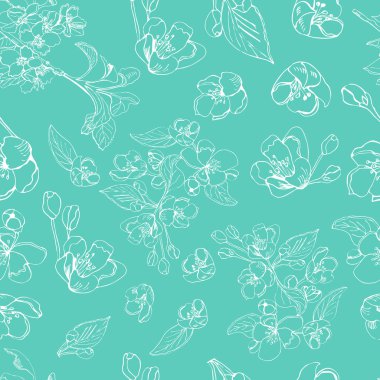 Elma ağacı çiçek açması şube seamless modeli. Turkuaz arka plan üzerinde beyaz malus çiçeklerin el çizilmiş kroki.