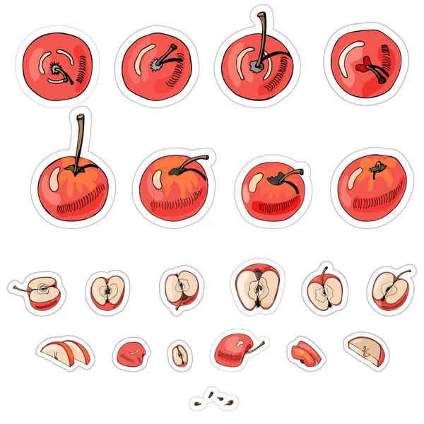 Stickers set geheel en gesneden appelen. Hand getekende afbeelding en gekleurde sketch met rode appels op witte achtergrond. — Stockvector