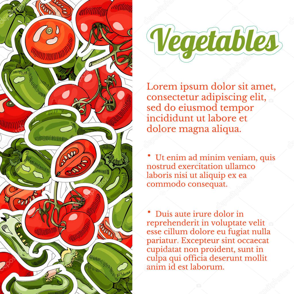 Composition of  green and red   hand drawn sweet peppers. Ink and colored sketch.Whole and sliced elements.Vector illustration. 