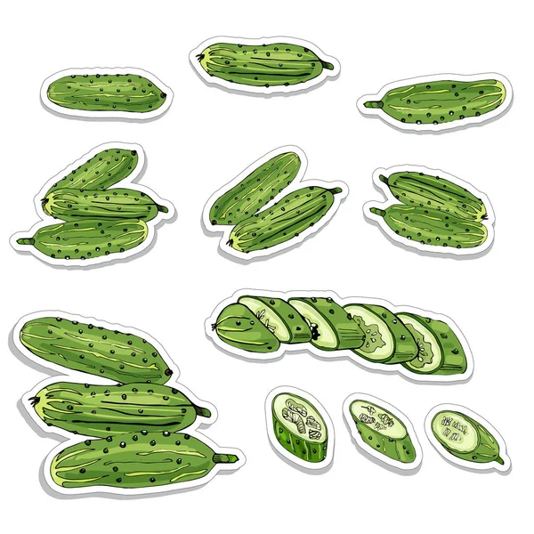 Klistermärken av gröna handen ritade gurkor. Bläck och färgade skiss på vit bakgrund. — Stock vektor