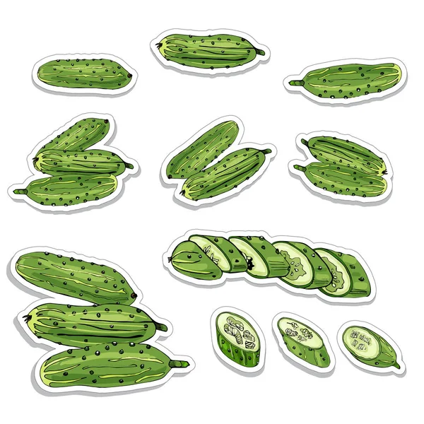 Stickers de concombres verts dessinés à la main. Encre et croquis coloré sur fond blanc . — Image vectorielle