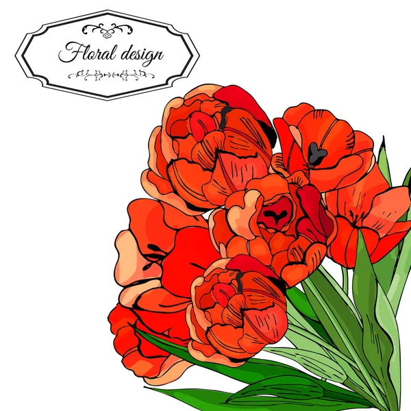 Modèle Pour Invitation Carte Vœux Fleurs Tulipes Rouges Fleurs Encre — Image vectorielle