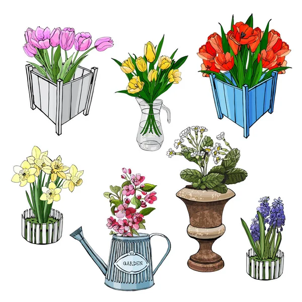 Conjunto Diferentes Flores Primavera Recipientes Objetos Dibujados Mano Estilo Boceto — Archivo Imágenes Vectoriales