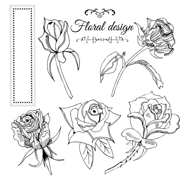Collection Éléments Fleurs Rose Monochrome Fleurs Cadre Croquis Encre Dessiné — Image vectorielle