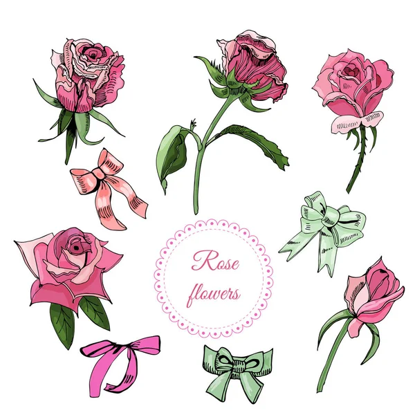 Colección Elementos Color Floreciente Rosa Flores Arcos Marco Dibujo Tinta — Vector de stock