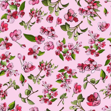 Seamless modeli Pembe çiçek açması, elma ağacı ve çiçek dalı. El çekilmiş renkli kroki malus çiçek.