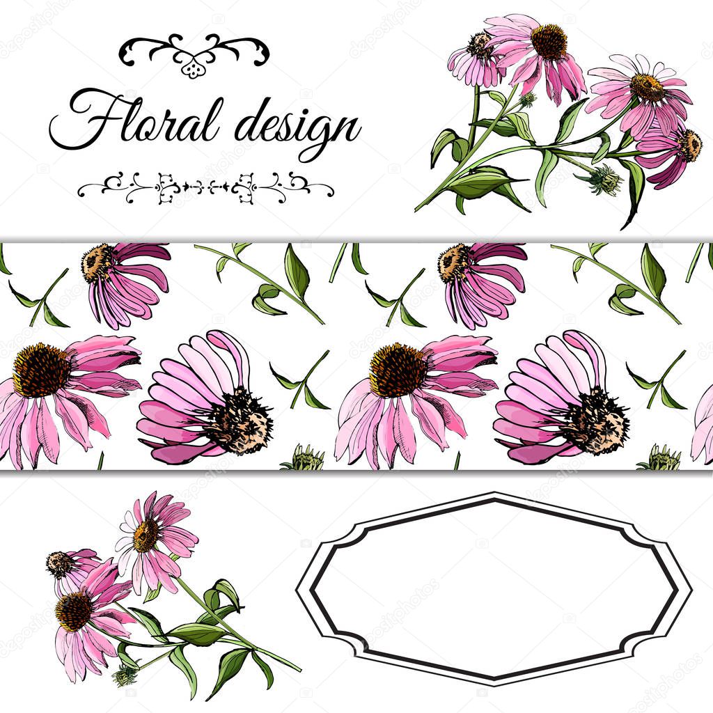 Template with  seamless pattern,  bouquets of pink echinacea flower and frame. Hand drawn sketch. Design elemens for greeting card, invitation, banner. Vector illustration.