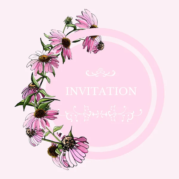 Plantilla circular con flor de equinácea rosa. Dibujo dibujado a mano. Elementos de diseño para tarjeta de felicitación, invitación, banner . — Vector de stock