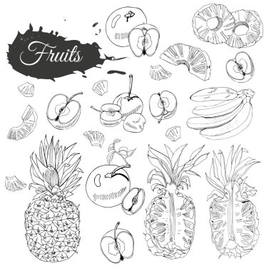 Farklı meyve tek renkli kümesi. Beyaz arka plan üzerinde izole bütün ve dilimlenmiş nesneler. Elle çizilmiş kroki.
