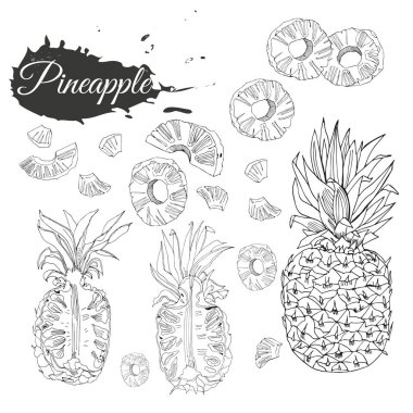 Ananas tek renkli topluluğu. Beyaz arka plan üzerinde izole bütün ve dilimlenmiş elemets. Elle çizilmiş kroki.