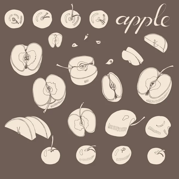 Jahrgang Sammlung von ganzen und in Scheiben geschnittenen Äpfeln. handgezeichnete Sepia-Skizze mit Äpfeln auf braunem Hintergrund. — Stockvektor