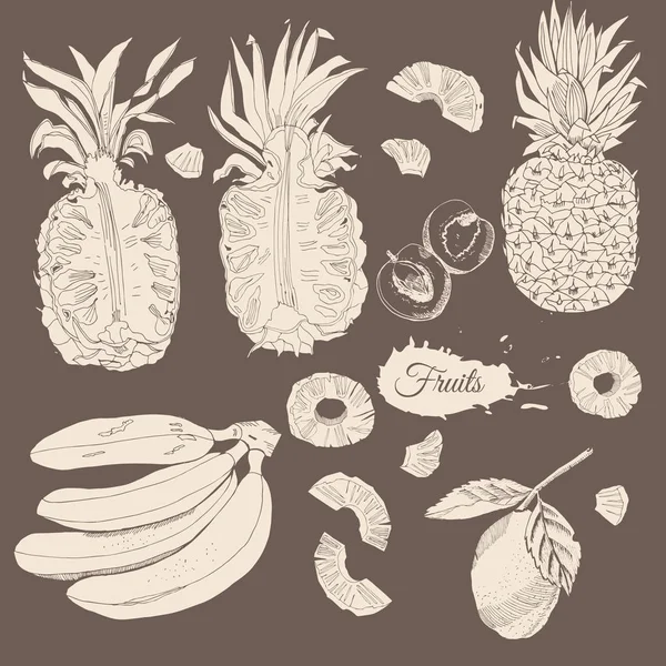 Vintage collectie van verschillende vruchten. Hele en gesneden beige elemets op donkere achtergrond. Hand getrokken schets. — Stockvector