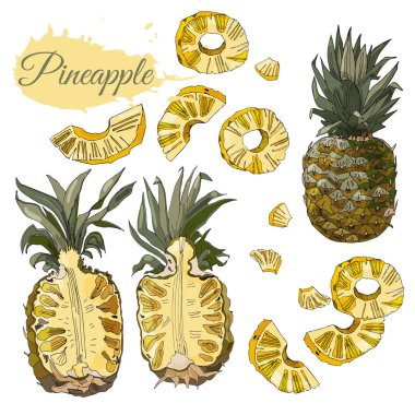 Ananas renk koleksiyonu. Beyaz arka plan üzerinde izole bütün ve dilimlenmiş öğeleri. Elle çizilmiş meyve kroki.