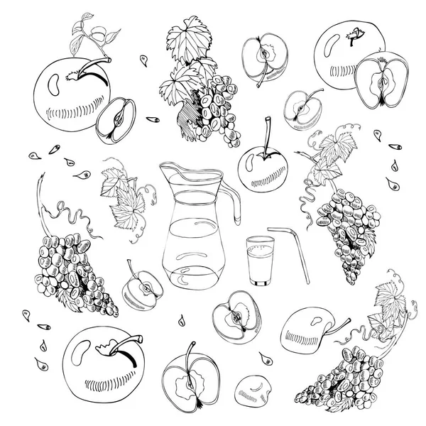 Monochromes Set aus ganzen und in Scheiben geschnittenen Äpfeln, Krug, Glas und Trauben. Handgezeichnete Skizze mit Tuscheäpfeln und Weintrauben isoliert auf weißem Hintergrund. — Stockvektor