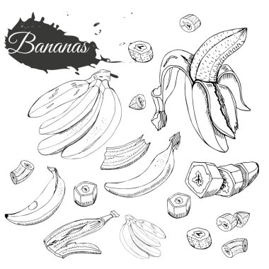 Muz tek renkli topluluğu. Beyaz arka plan üzerinde izole bütün ve dilimlenmiş elemets. Elle çizilmiş kroki.