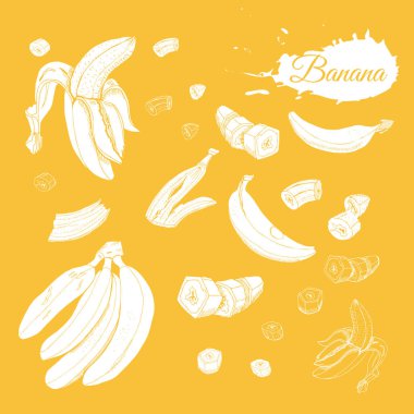 Beyaz muz ters topluluğu. Tüm ve tüm dilimlenmiş ve dilimlenmiş öğeleri üzerinde sarı arka plan izole. Elle çizilmiş kroki.