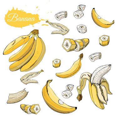 Renk kümesi sarı muz. Beyaz arka plan üzerinde izole bütün ve dilimlenmiş öğeleri. Elle çizilmiş kroki.
