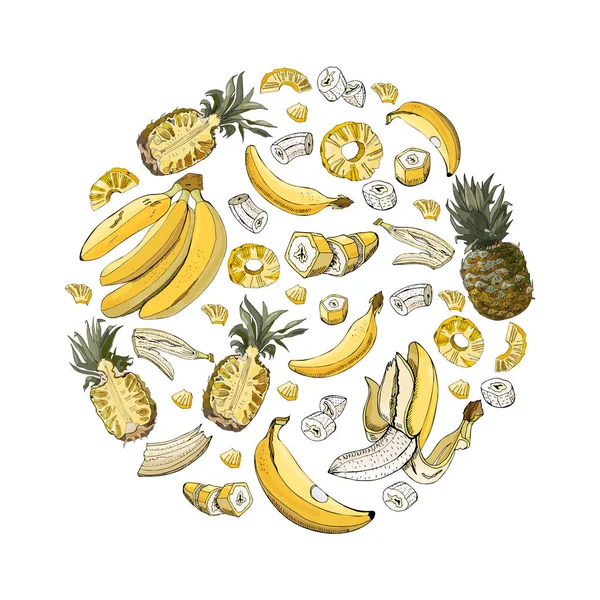 Kreis Farbzusammensetzung von Ananas und Bananenfrüchten. ganze und geschnittene Elemente isoliert auf weißem Hintergrund. Handgezeichnete Skizze. — Stockvektor