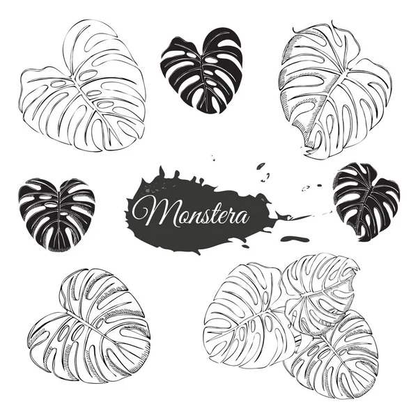 Collezione con foglie di monstera in bianco e nero e macchia astratta. Schizzo di inchiostro disegnato a mano isolato su sfondo bianco . — Vettoriale Stock