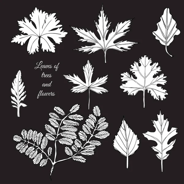 Set con hojas blancas de árboles y flores sobre fondo negro. Dibujo de tinta dibujado a mano . — Archivo Imágenes Vectoriales