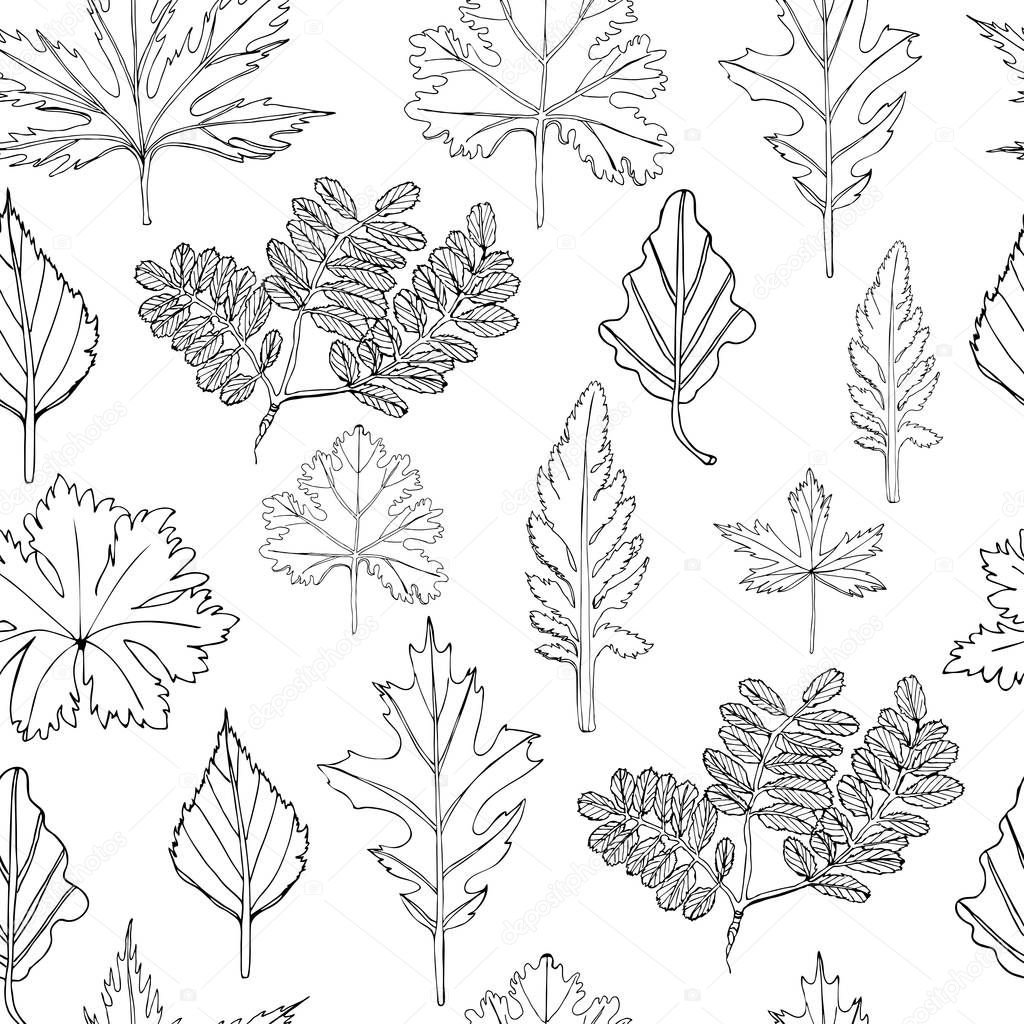 Seamless pattern with monocrome  leaves of trees and flowers. Hand drawn ink sketch isolated on white background.