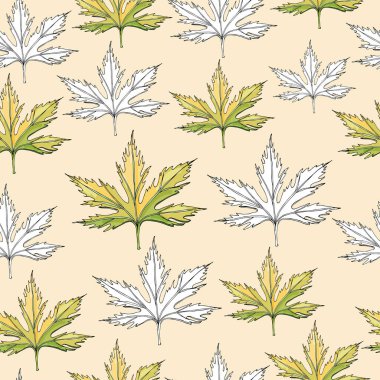 Acer ağacının tek renkli ve renkli yaprakları ile dikişsiz desen. Açık sarı arka plan da izole edilmiş el çizilmiş mürekkep çizimi.