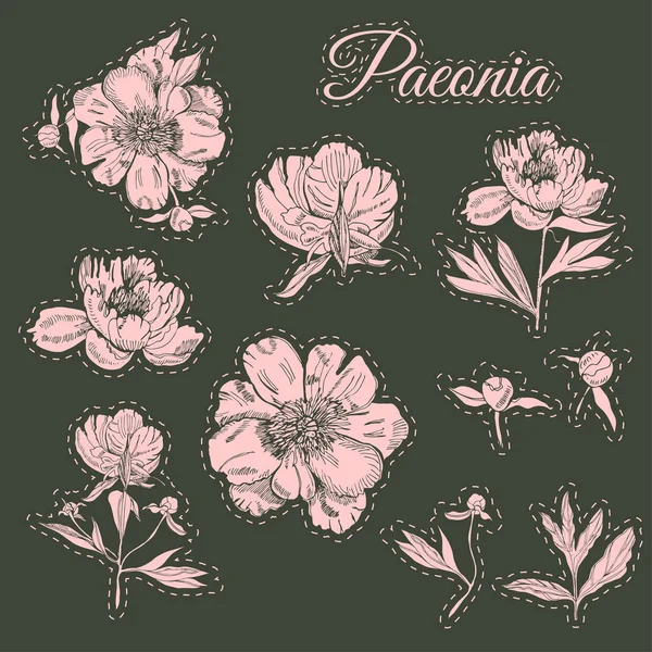 Stickerpack met bloemen van pioenroos. Hand getekende inkt schets. Roze voorwerpen op donker groene achtergrond. — Stockvector