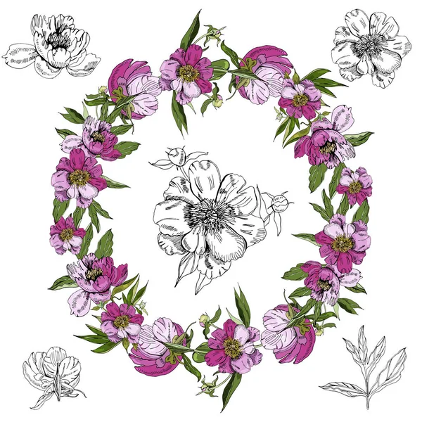 Grinalda com flores cor-de-rosa de peônia. Desenho a tinta desenhada à mão. Cor e objetos monocromáticos isolados no fundo branco . — Vetor de Stock