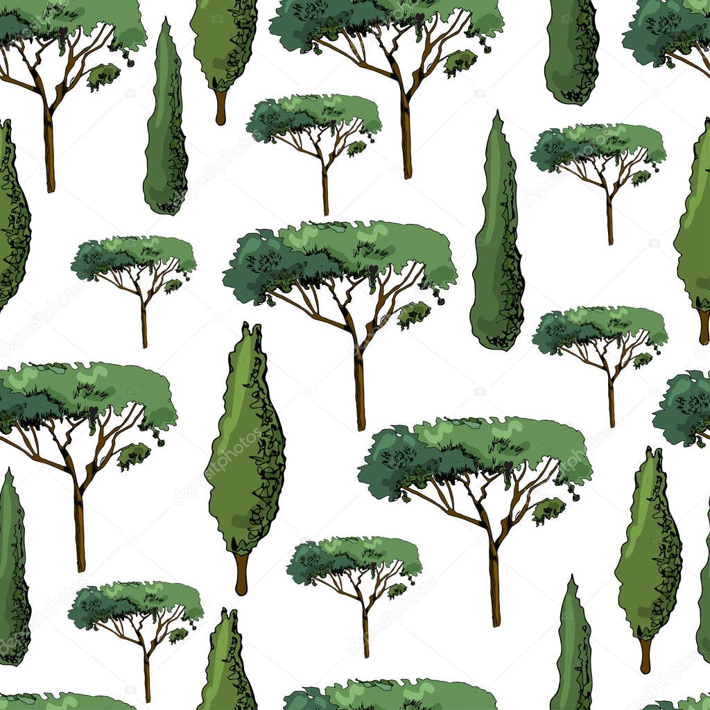 Seamless pattern with italian trees cypresses and pines. Ink and colored elements isolated on white background.