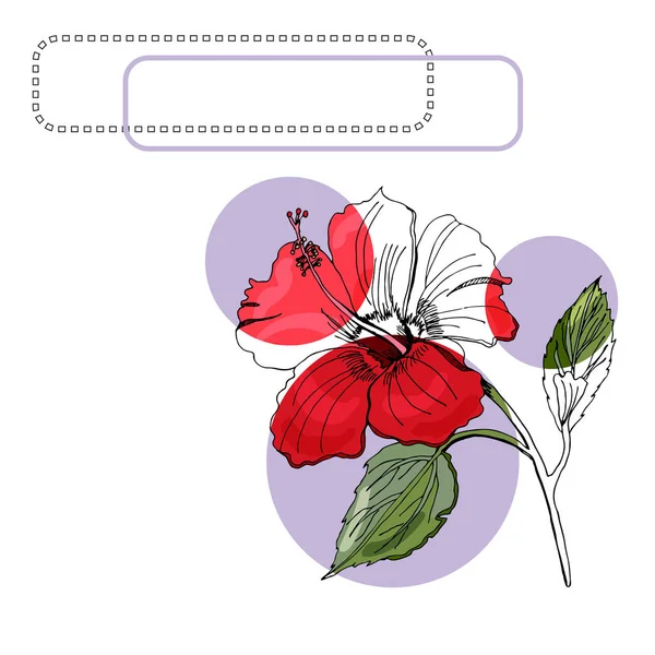 ハイビスカスの花、ライラックの円とフレームの色のモノクロで設定します。白い背景に分離された手描きのインクスケッチ. — ストックベクタ