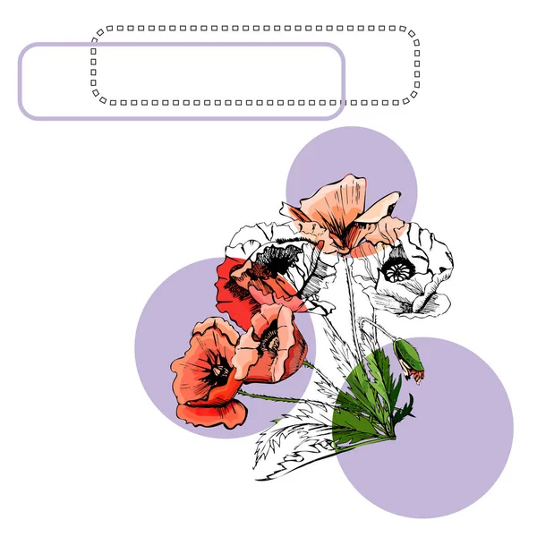 葉、円、フレームとケシの花の色とモノクロの花束とコレクション。白い背景に隔離された手描きのインクと色付きのスケッチ. — ストックベクタ